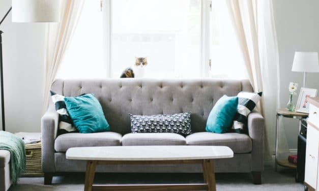 Tips to Buying a Leather Sofa