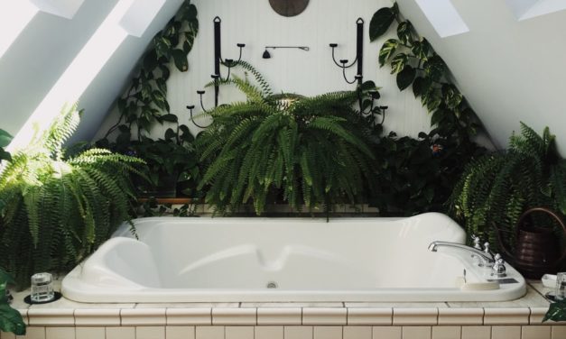 What Causes the Foul Smell in Your Hot Tub and Spa?