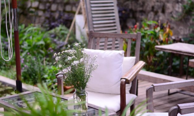 Landscaping With Canna Lilies