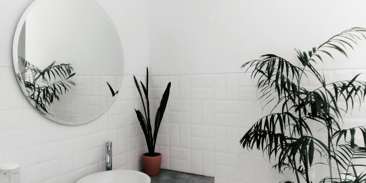 Seven Tips For an Eco-Friendly Bathroom