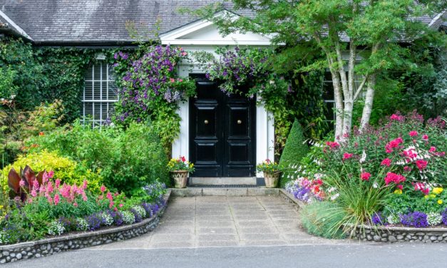 What You Should Know About Custom Landscaping Desi