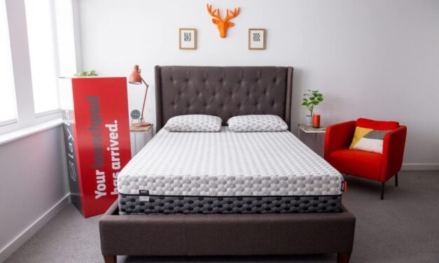 Layla Sleep Review