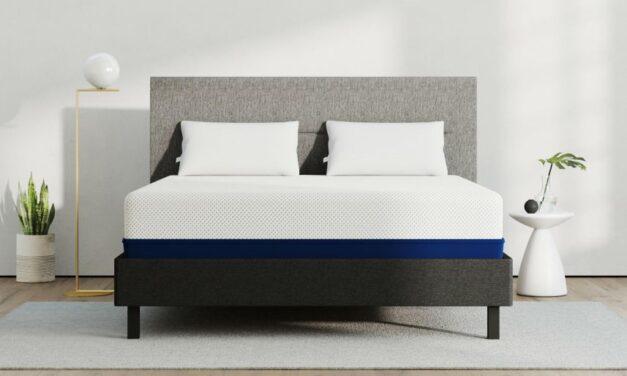 Amerisleep Mattress Review