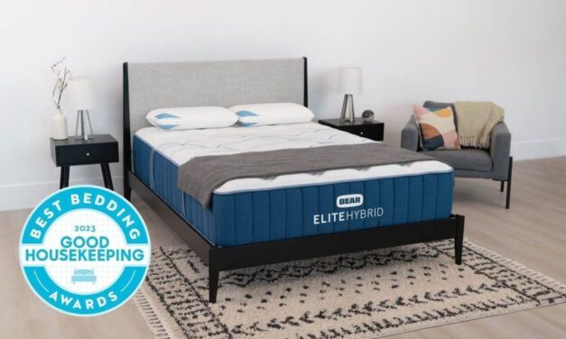 Bear Mattress Review