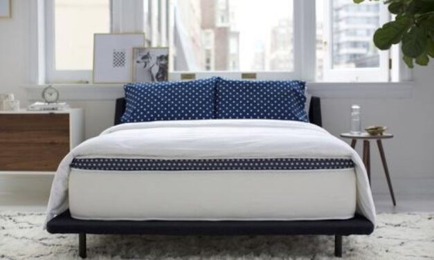 WinkBeds Mattress Review