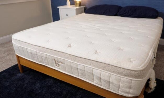Birch by Helix Mattress Review